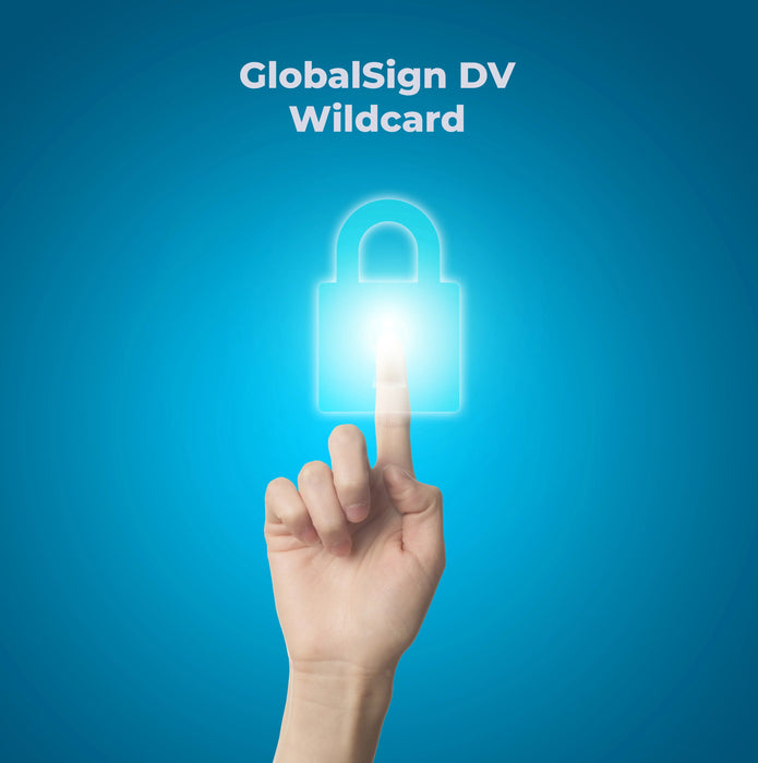 GlobalSign DV Wildcard SSL - THE SSL LOCK