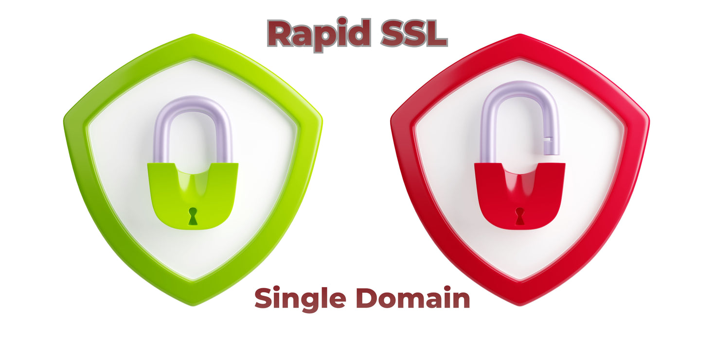 RapidSSL DV