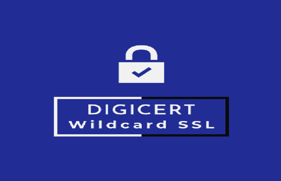 DigiCert Wildcard Certificate