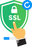 Single Domain Instant SSL Pro Certificate -  thessllock